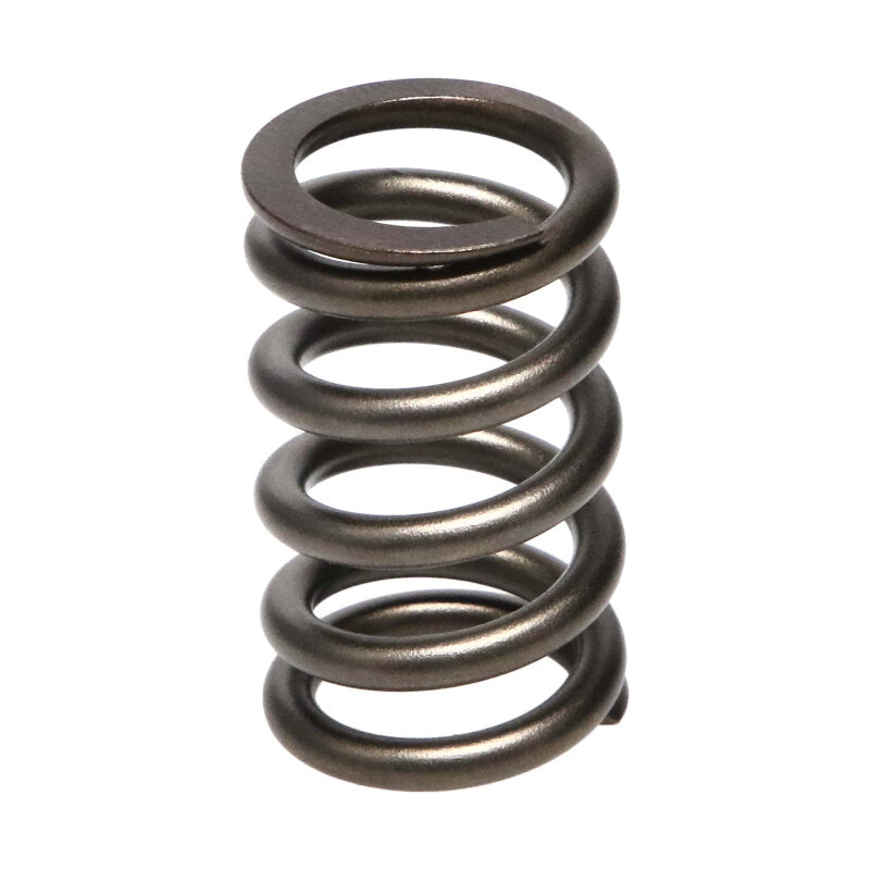 Manley Dodge SRT-4 16pc Valve Springs - 22190-16
