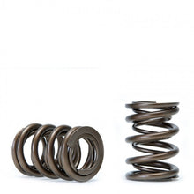 Load image into Gallery viewer, Skunk2 Tuner Series Honda/Acura (B16A/ B17A/ B18C) DOHC VTEC Alpha Valve Spring Set (Dual Springs) - 311-05-1350