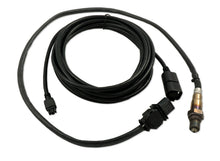 Load image into Gallery viewer, Innovate LSU4.9 Upgrade Kit - 18ft Sensor Cable and O2 Sensor - 3898