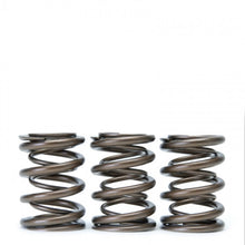 Load image into Gallery viewer, Skunk2 Tuner Series Honda/Acura (H22A/F20B) DOHC VTEC Alpha Valve Spring Set (Dual Springs) - 311-05-1360