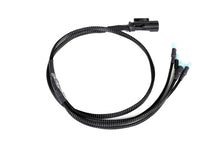Load image into Gallery viewer, GrimmSpeed 2015+ WRX/STI Hella Horn Wiring Harness - 040026