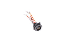 Load image into Gallery viewer, Radium Engineering Bulkead Harness Internal Triple Walbro F90000262 Pump - 17-0028