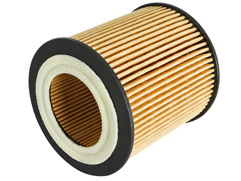 aFe Pro GUARD D2 Oil Filter 06-19 BMW Gas Cars L6-3.0T N54/55 - 4 Pack - 44-LF029-MB