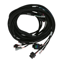 Load image into Gallery viewer, AEM VCU Universal LV Rear Harness - 30-8601