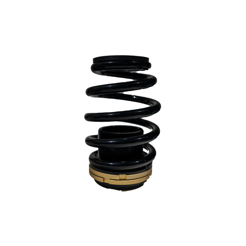 BLOX Racing 12-13 Honda Civic Si Plus Series Fully Adjustable Coilovers - BXSS-00120