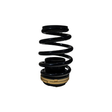 Load image into Gallery viewer, BLOX Racing 12-13 Honda Civic Si Plus Series Fully Adjustable Coilovers - BXSS-00120
