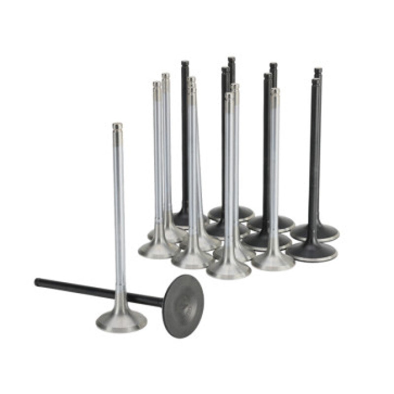 Skunk2 Honda K20C1 Alpha Series Intake & Exhaust Valve Set (Standard Compression) - 310-05-2000