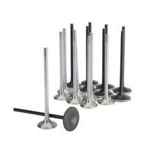 Load image into Gallery viewer, Skunk2 Honda K20C1 Alpha Series Intake &amp; Exhaust Valve Set (Standard Compression) - 310-05-2000