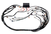 Load image into Gallery viewer, Haltech GM GEN IV (LS2/LS3 Non DBW) Elite 2000/2500 Terminated Harness w/EV6 Inj Connectors