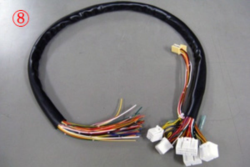 HKS TP5 - 6F - CON V Harness - 4202-RT027