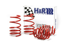 Load image into Gallery viewer, H&amp;R 92-98 BMW 325i/325is/328i/328is E36 Race Spring (After 6/22/92 &amp; Non Cabrio) - 50424-88