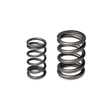 Load image into Gallery viewer, Skunk2 Tuner Series Honda/Acura (B16A/ B17A/ B18C) DOHC VTEC Alpha Valve Spring Set (Dual Springs) - 311-05-1350