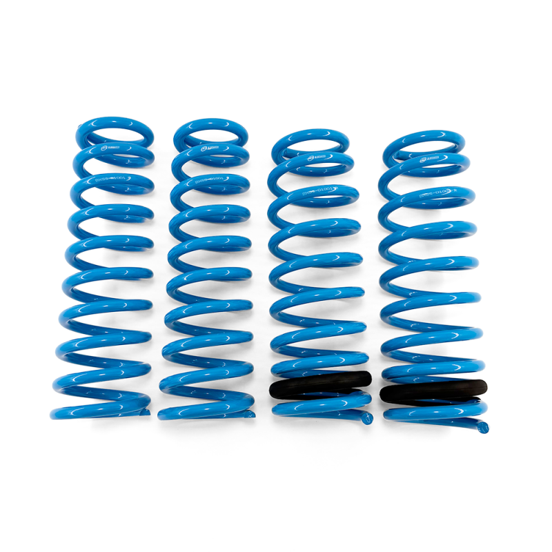 BLOX Racing Lowering Springs 92-95 Honda Civic Del Sol - BXSS-01001