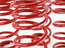 Load image into Gallery viewer, Skunk2 00-04 Honda S2000 Lowering Springs (2.00in. - 1.80in.) (Set of 4) - 519-05-1680