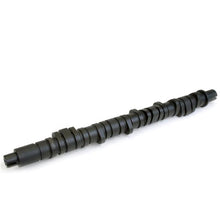 Load image into Gallery viewer, Skunk2 Tuner Series D-Series Honda Stage 2 Camshaft - 305-05-0050