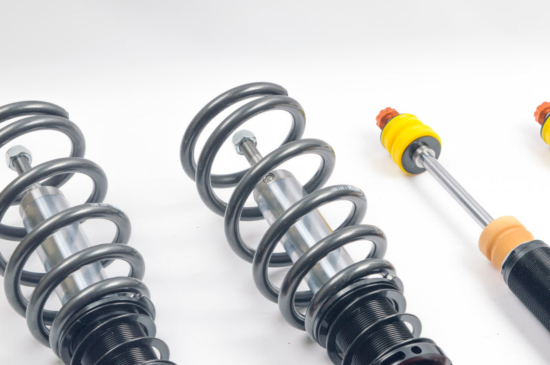 AST 11-12 BMW 1 Series M E82 RWD 5100 Street Coilovers w/ Springs & Droplink - ACU-B1603SD