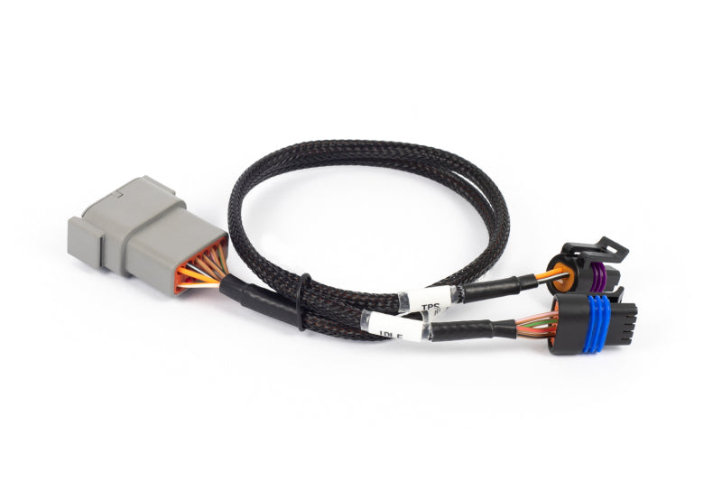 Haltech NEXUS Rebel LS Cable Throttle & IAC Sub-Harness - HT-186504