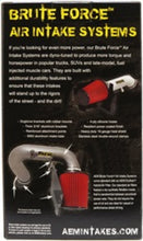 Load image into Gallery viewer, AEM 3.5 in x 9 in Dryflow Conical Air Filter - 21-2049BF