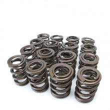 Load image into Gallery viewer, Skunk2 Tuner Series Honda/Acura (H22A/F20B) DOHC VTEC Alpha Valve Spring Set (Dual Springs) - 311-05-1360