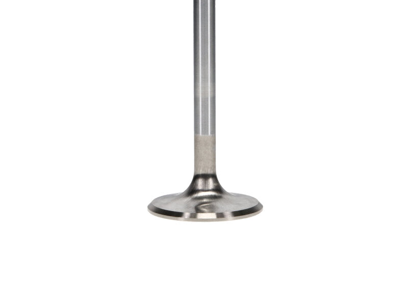 Manley Ford 4.6L/5.4L DOHC 4V 37mm Dia 5.339in Length Bead Loc Race Master Intake Valves (Set of 8) - 11616B-8
