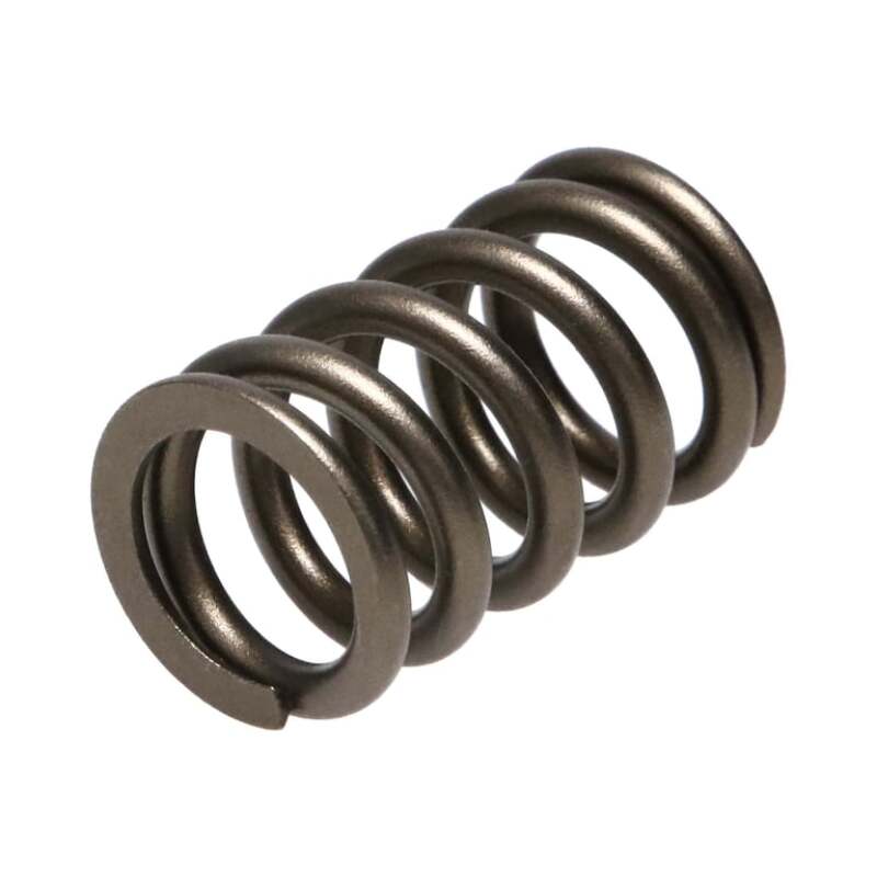 Manley Valve Spring, SPRING-NISSAN PATROL TB48 - 22155-24