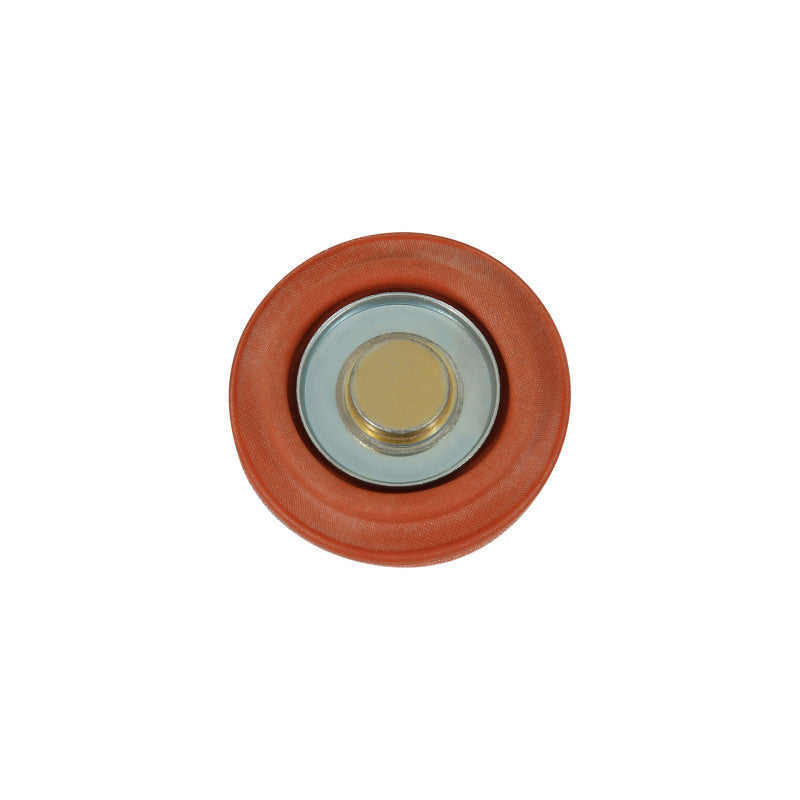 AEM Universal Fuel Pressure Regulator Rebuild Kit - 25-392