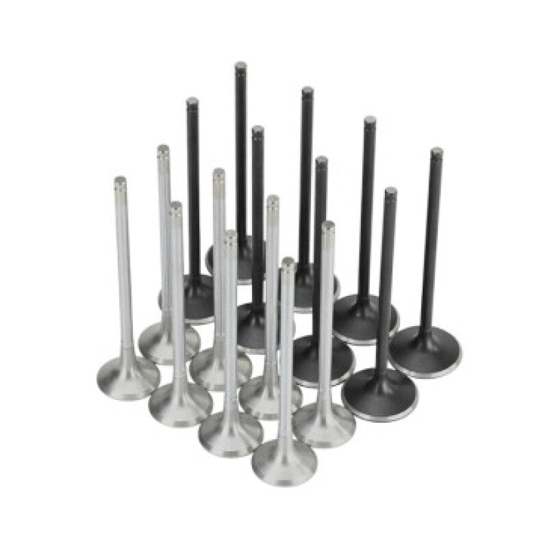 Skunk2 Honda K20C1 Alpha Series Intake & Exhaust Valve Set (Standard Compression) - 310-05-2000