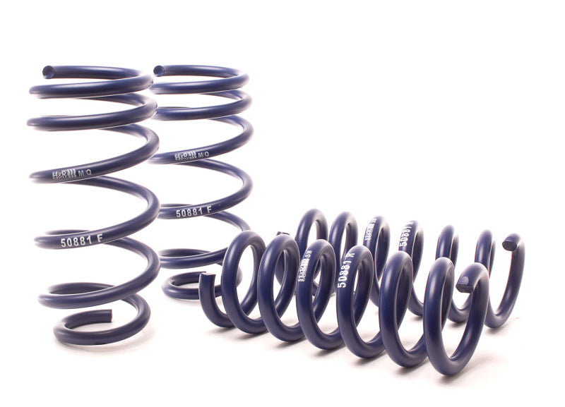 H&R 11-14 Dodge Charger RT (AWD) Max/Plus V8 Sport Spring - 50881-4