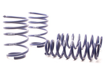 Load image into Gallery viewer, H&amp;R 07-11 BMW 328i Sedan/335i Sedan E90 Race Spring - 50490-88
