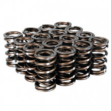 Load image into Gallery viewer, Skunk2 Pro Series Honda/Acura K-Series i-VTEC XP Valve Spring Set (Dual Springs) - 311-05-7380