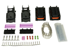 Load image into Gallery viewer, AEM EV Plug &amp; Pin Kit for VCU300 - 30-3710