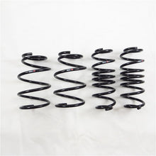 Load image into Gallery viewer, RS-R 11+ Toyota Prius V (ZVW40W) Super Down Springs - T088S