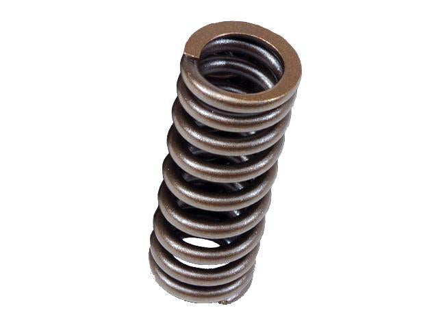 BLOX Racing Valve Springs for D-series SOHC VTEC D16Z-Y (1.6L SOHC VTEC) - BXPT-20301