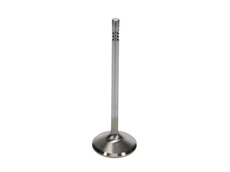 Manley Ford 4.6L 38.5mm Race Master & Extreme Duty Exhaust Valves (Single) - 11633-1
