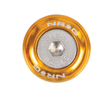 Load image into Gallery viewer, NRG Fender Washer Kit w/Rivets For Metal (Rose Gold) - Set of 10 - FW-110RG