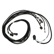 Load image into Gallery viewer, AEM VCU Universal LV Rear Harness - 30-8601
