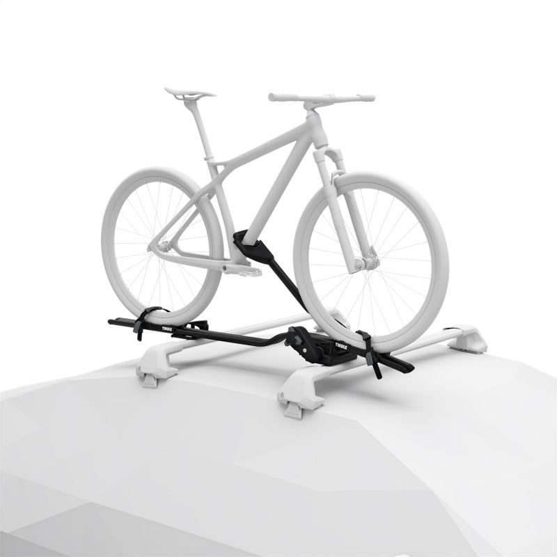 Thule ProRide XT - Upright Bike Carrier (Bikes up to 44lbs.) - Black - 598004