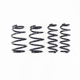 RS-R 19-25 Toyota RAV4 Prime Down Sus Springs - T061D