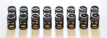 Load image into Gallery viewer, HKS 91-00 Infiniti G20 SR20DET Outer Valve Spring Set - 22001-AN002