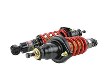 Load image into Gallery viewer, Skunk2 01-05 Honda Civic / 01-05 Acura Integra Pro-ST Coilovers (Front 10 kg/mm - Rear 10 kg/mm) - 541-05-8700