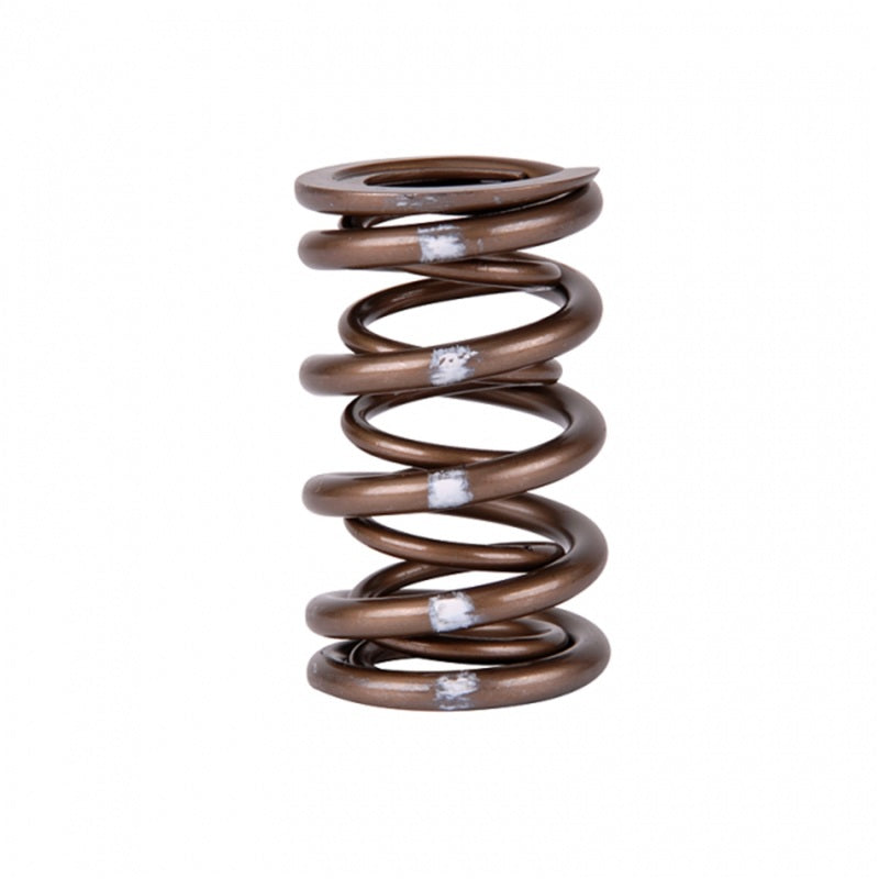 Skunk2 Pro Series Honda/Acura B-Series VTEC XP Valve Spring Set (Dual Springs) - 311-05-7350