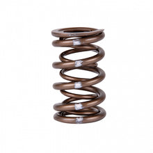 Load image into Gallery viewer, Skunk2 Pro Series Honda/Acura B-Series VTEC XP Valve Spring Set (Dual Springs) - 311-05-7350
