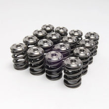 Load image into Gallery viewer, Skunk2 Tuner Series Honda/Acura (H22A/F20B) DOHC VTEC Alpha Valve Spring Set (Dual Springs) - 311-05-1360