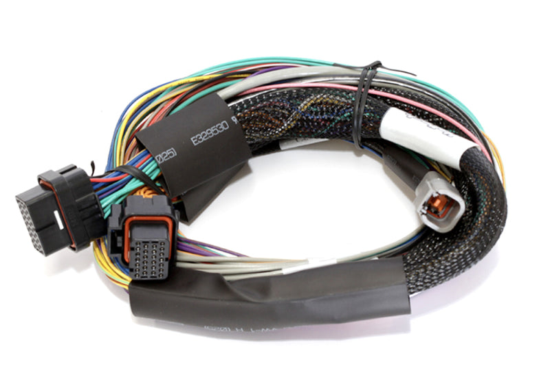 Haltech Elite 2500 Basic Universal Wire-In Harness w/o Relays or Fuses - 2.5m (8ft) - HT-141302