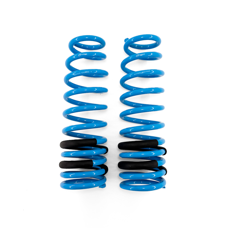 BLOX Racing Lowering Springs 96-00 Honda Civic - BXSS-01002
