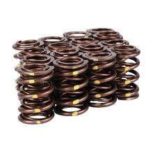 Load image into Gallery viewer, Skunk2 Pro Series Honda/Acura B-Series VTEC XP Valve Spring Set (Dual Springs) - 311-05-7350