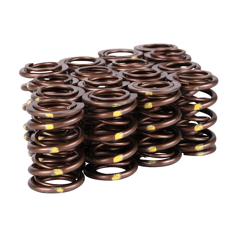 Skunk2 Pro Series Honda/Acura K-Series i-VTEC XP Valve Spring Set (Dual Springs) - 311-05-7380