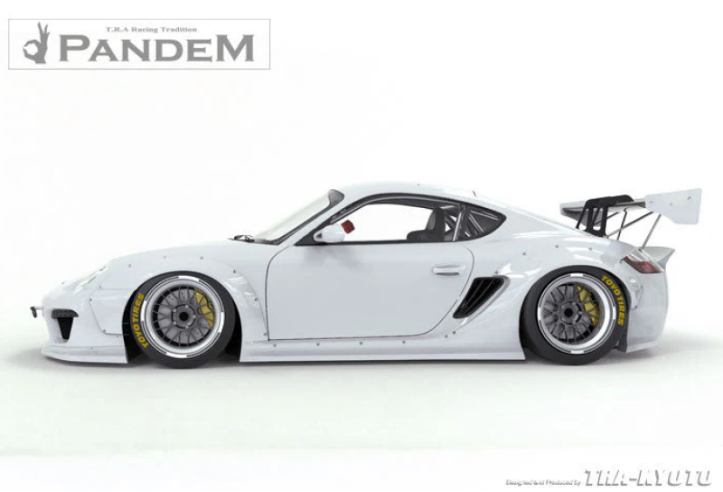 GReddy Pandem RB 09-12 Porsche Cayman V2 Rear Over-Fenders (Special Order) - 17090526