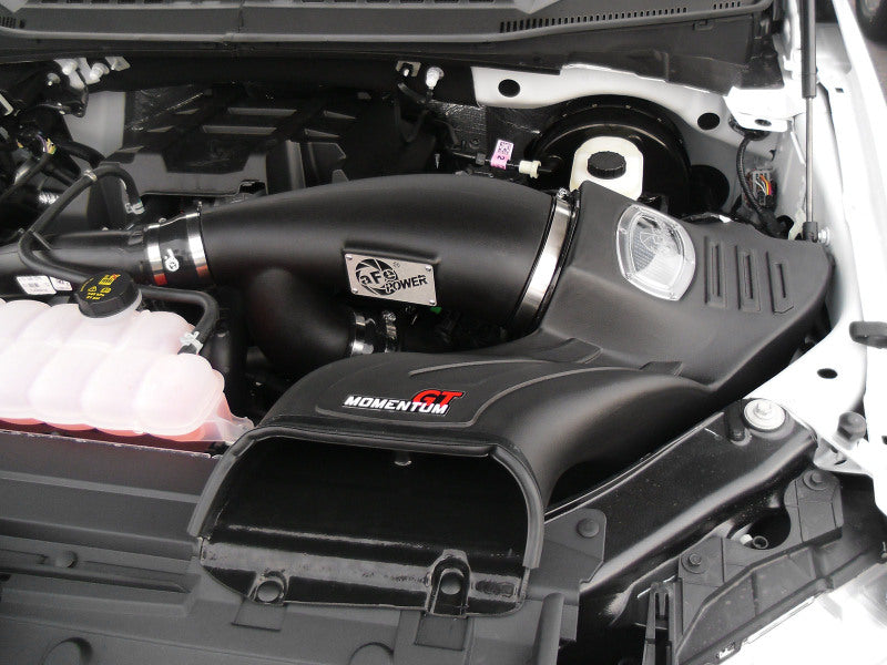 aFe Momentum GT Pro DRY S Intake System 2016 Ford F-150 EcoBoost V6-2.7L/3.5L (tt) - 51-73112-1
