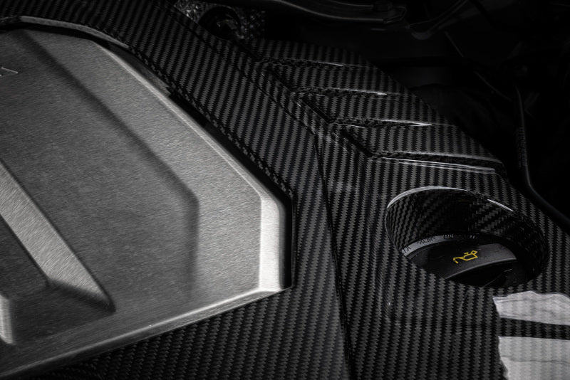 APR 21-26 Audi RS6 Avant/RS7 Sportback EA825 (C8) 4.0T Carbon Fiber Engine Cover - MS100253